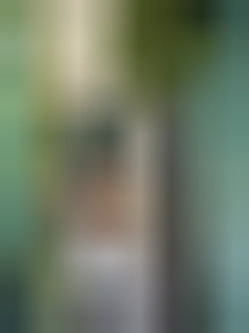 Lyna, 22 ans — rencontre lesbienne à Sautron