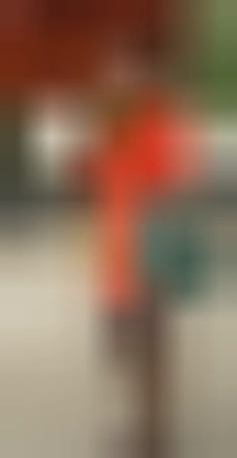 Lilou, 24 ans — rencontre lesbienne à Mer