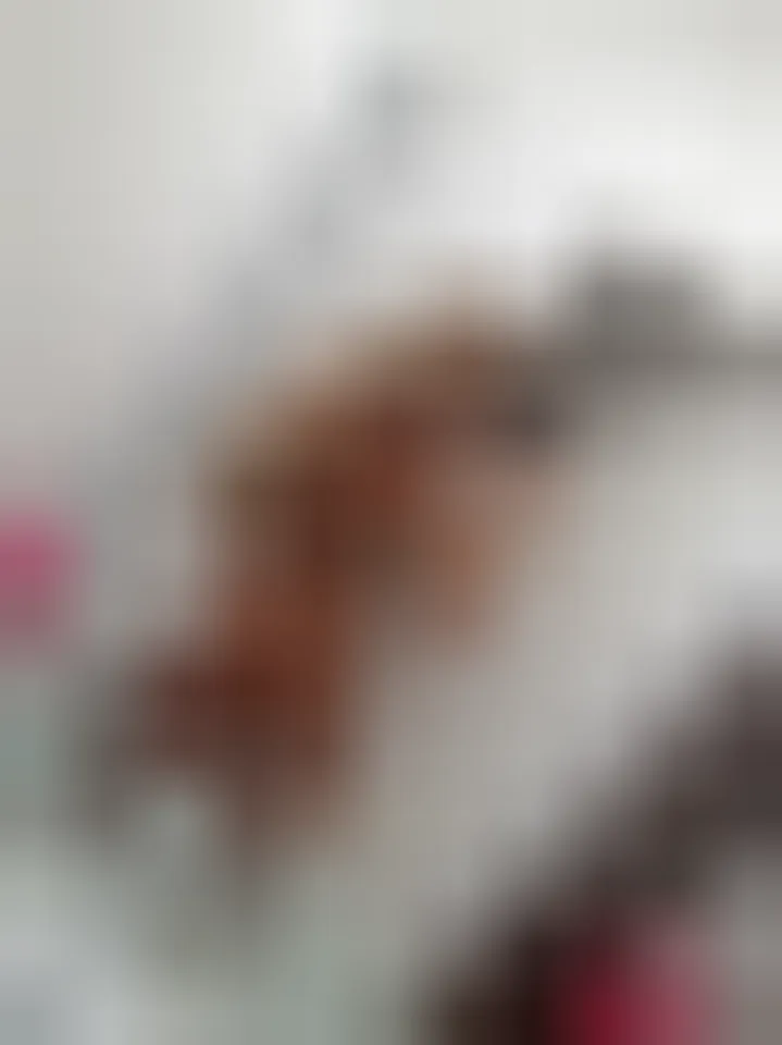 Mouna, 28 ans — rencontre lesbienne à Reyrieux