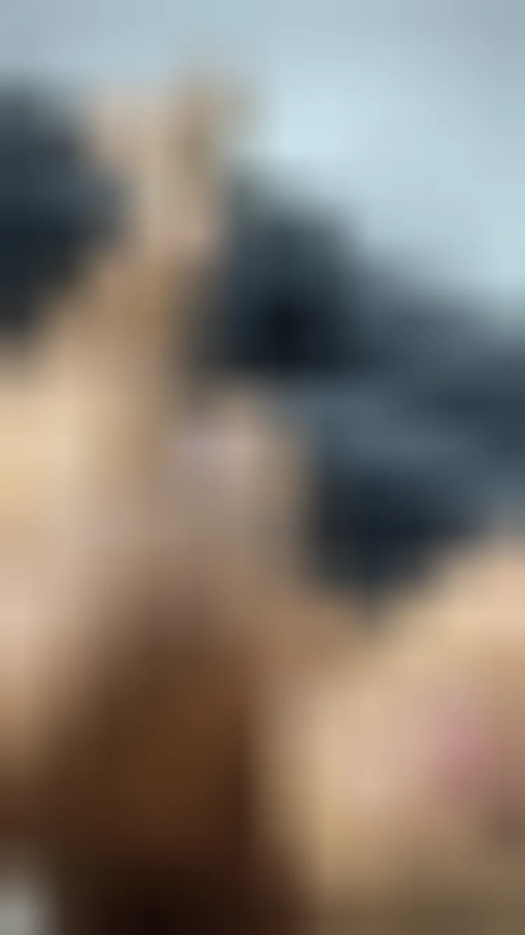 Lucile, 28 ans — rencontre lesbienne à Aubervilliers
